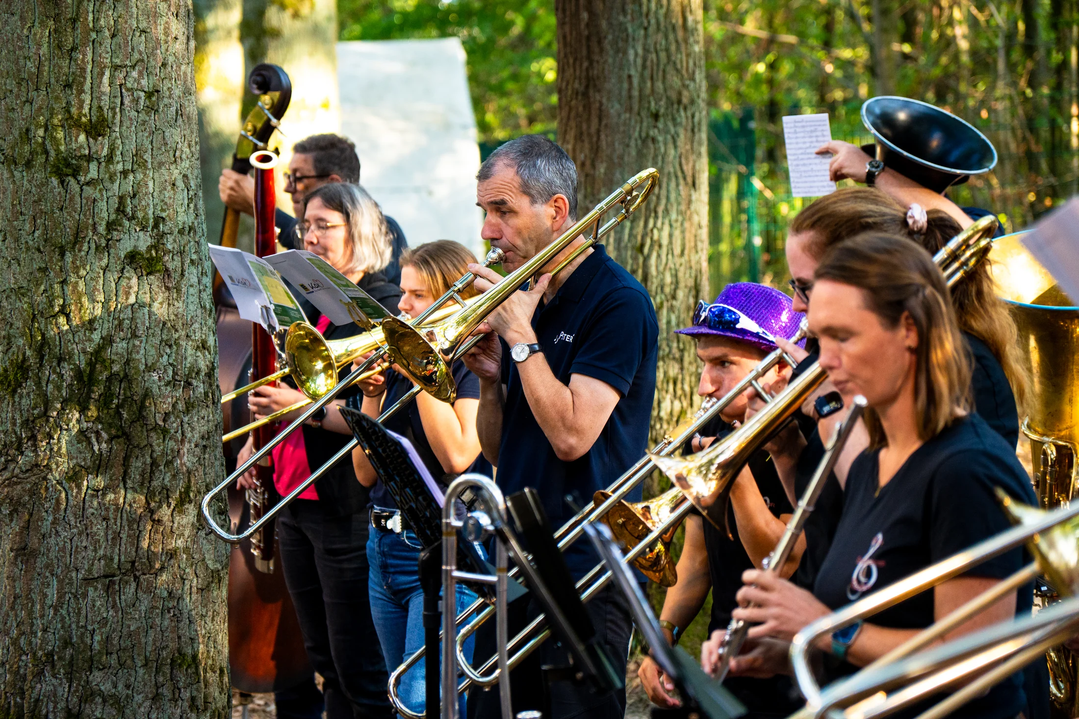 Musiker beim Jubiläumsfest des Musikvereins Aldekerk